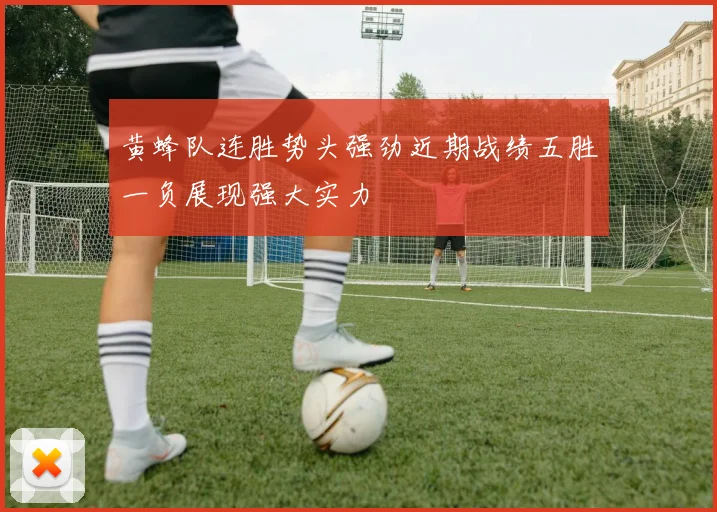 黄蜂队连胜势头强劲近期战绩五胜一负展现强大实力